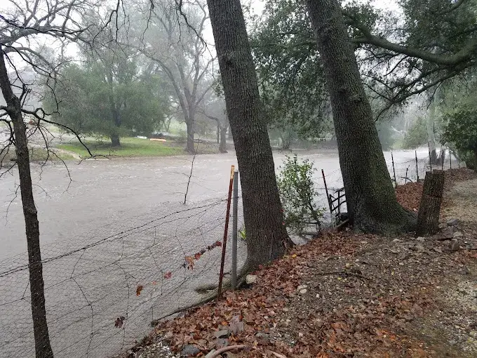 Triunfo Canyon Vineyards in Agoura Hills, CA